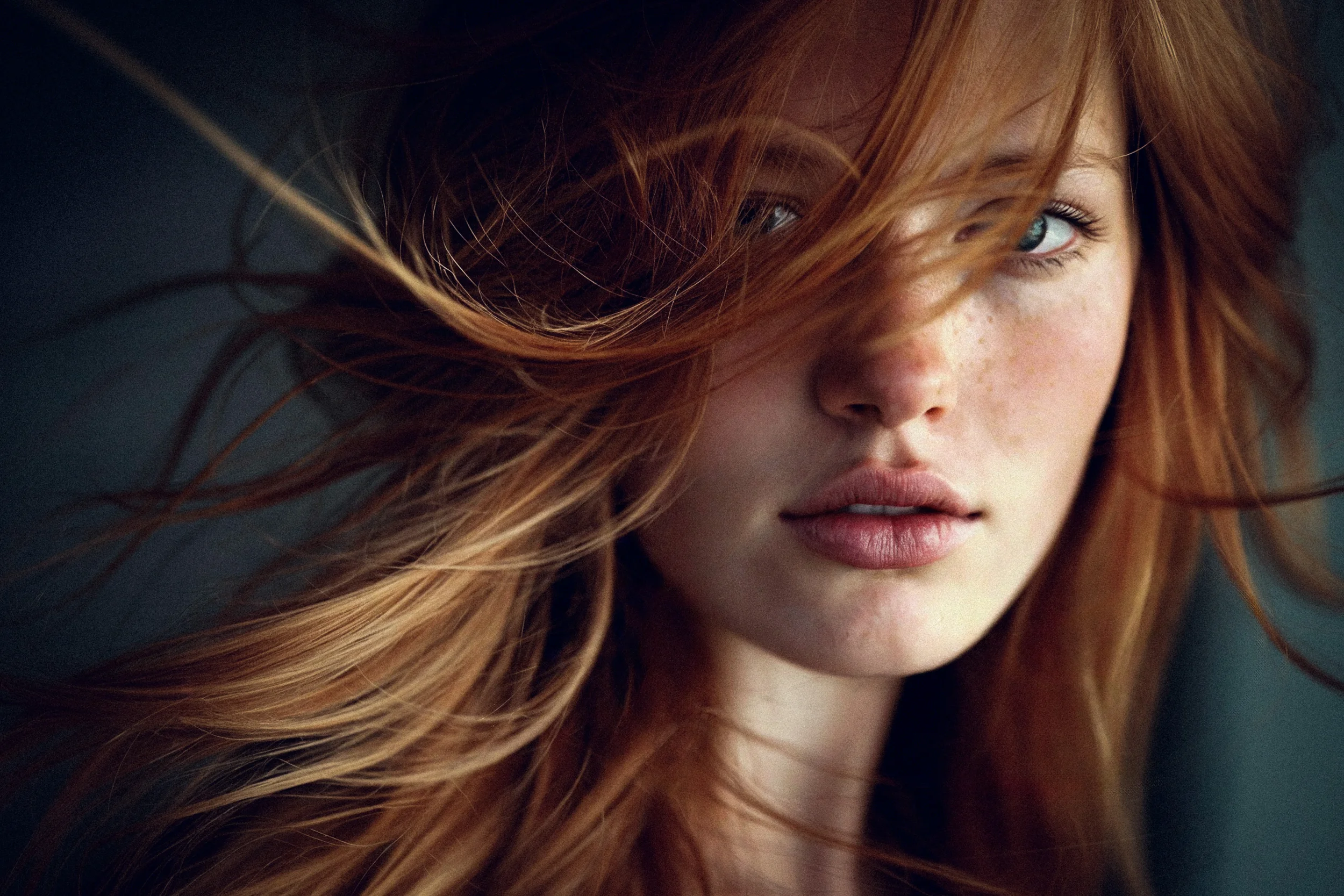  4 by Robert Brembeck