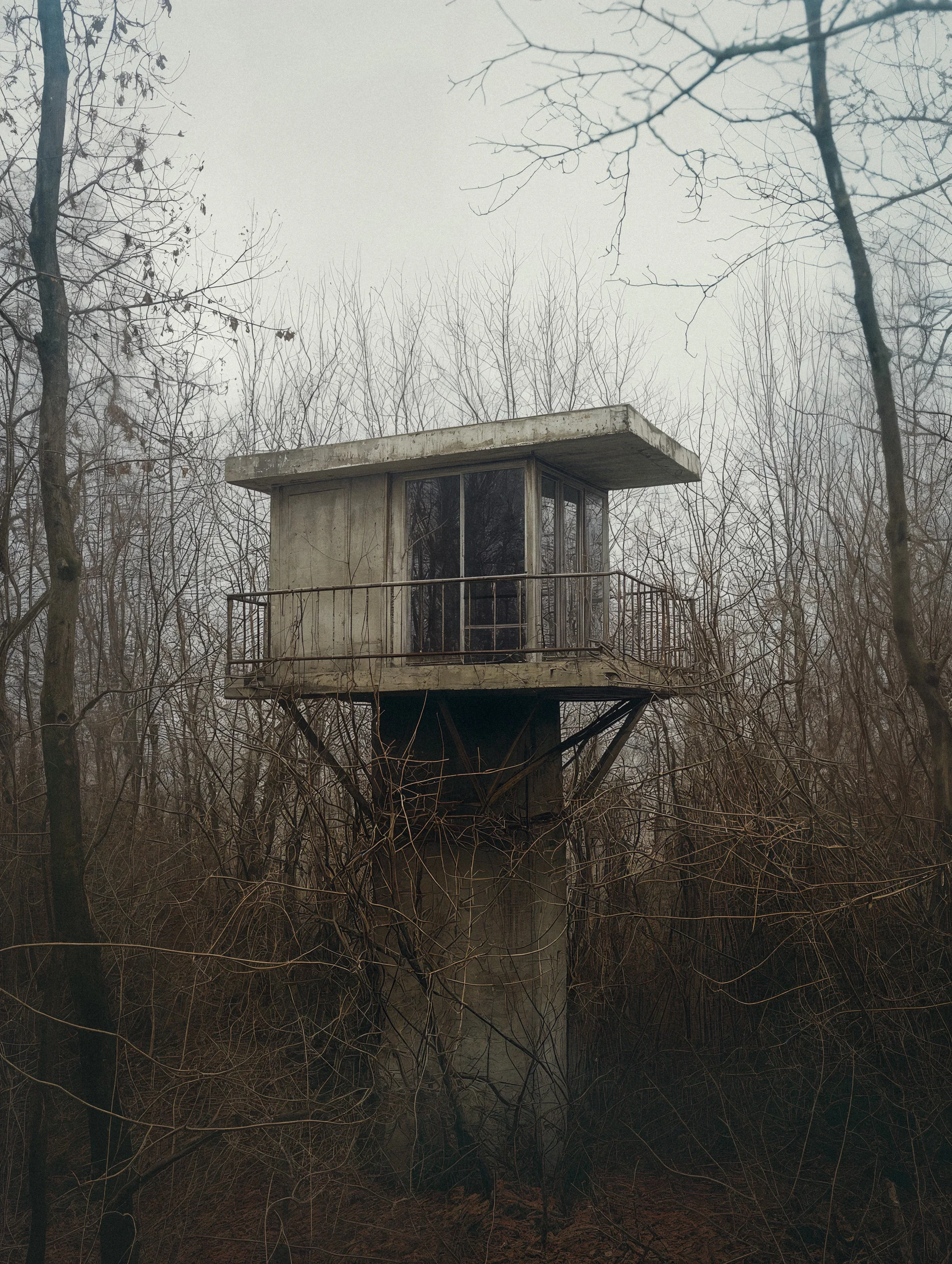 Raised Hides 5 by Robert Brembeck