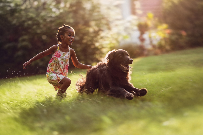 Dogs 57 by Robert Brembeck